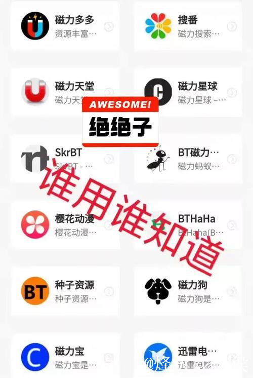 BT磁力搜索器：快速获取资源的神器