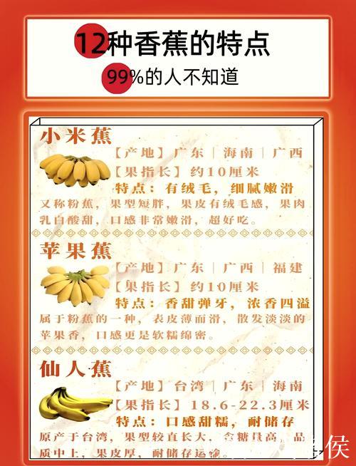 深度解析香蕉在线视频平台特色与内容优势