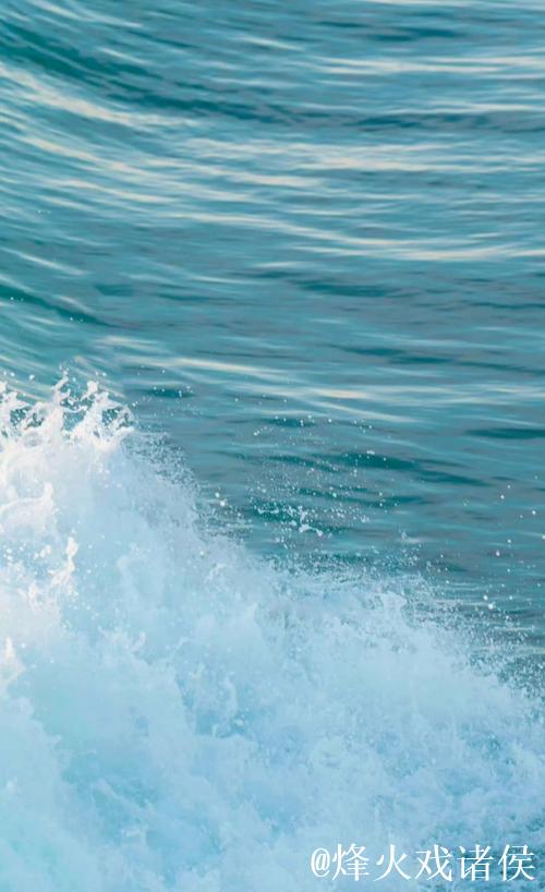 搓光美女衣服菠萝蜜视频 搓光美女衣服菠萝蜜视频